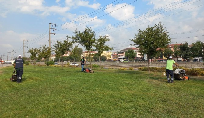 Derince’nin Yeşil Alanları Temizleniyor