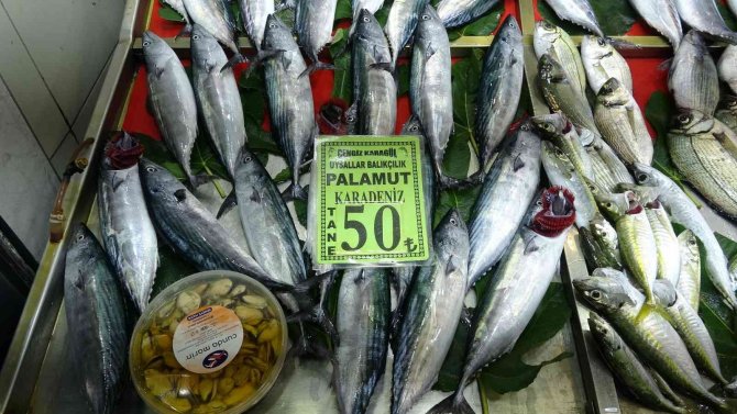 Çanakkale’de Balıkçılar Yeni Sezondan Umutlu