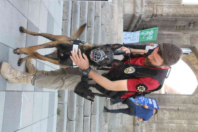 Narko Erzurum Sahada