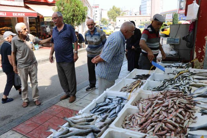 Sezonun İlk Balıkları Tezgahlarda: Palamuda Niyet, İstavrite Kısmet