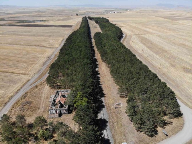 Kars’ta Bozkırın Ortasındaki ‘Vaha’ Büyülüyor