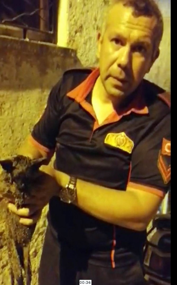 Su Kuyusuna Düşen Kedi Kalp Masajıyla Hayata Tutundu