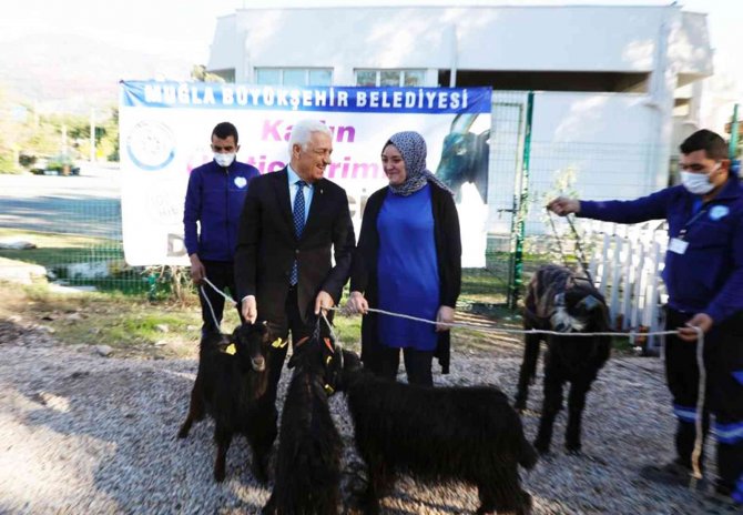 Kıl Keçisi Projesi Meyvelerini Veriyor