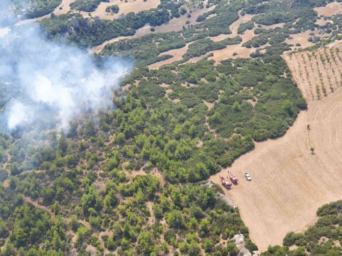Manisa’daki Orman Yangını Kontrol Altına Alındı