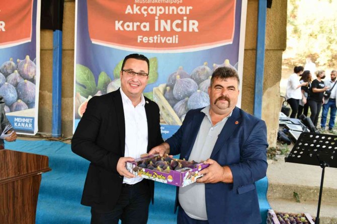 Mustafakemalpaşa’da İncirler Görücüye Çıkıyor