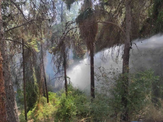 Kadirli’de Çamlık Alanda Çıkan Yangın Büyümeden Söndürüldü