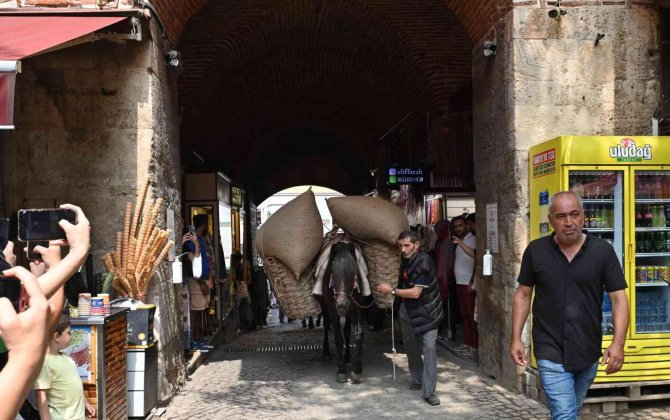 İ̇peksi Festival Koza Alımıyla Başladı