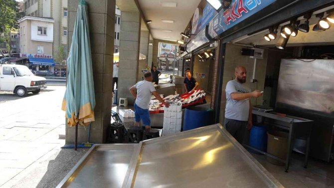 Trabzon’da Yeni Balık Av Sezonunun İlk Günü Palamutta Beklenti Gerçekleşmedi