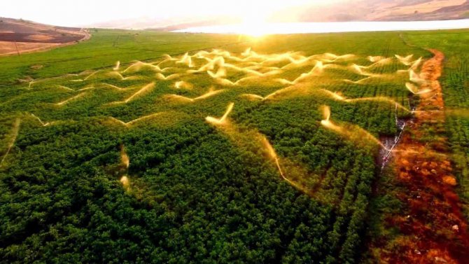 Tarladaki Sulama Gün Batımı İle Birleşti, Ortaya Güzel Görüntüler Çıktı