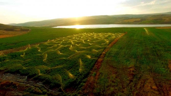 Tarladaki Sulama Gün Batımı İle Birleşti, Ortaya Güzel Görüntüler Çıktı