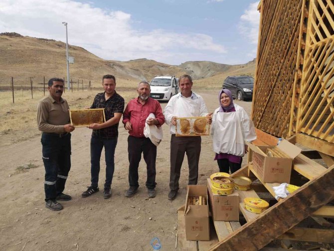 Özalp’te Bal Sağımı