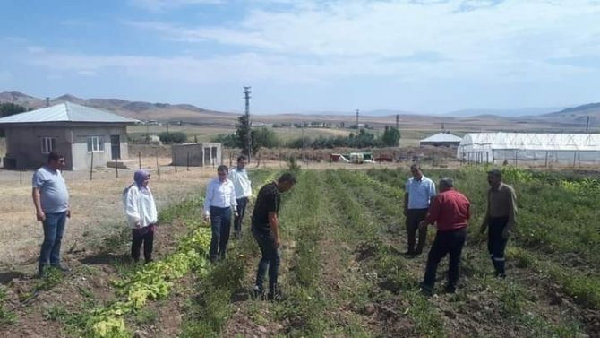 Kaymakam Nasır, Yetiştirilen Ürünleri İnceledi
