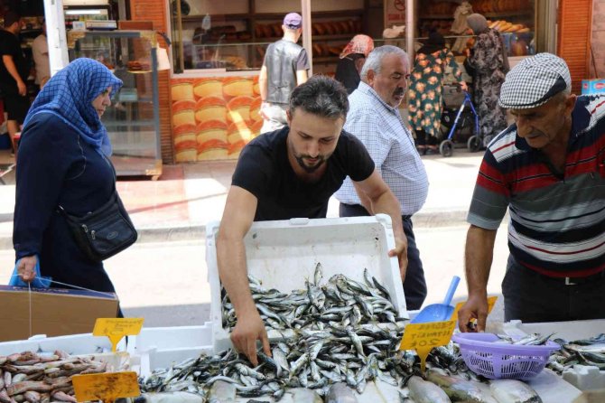 Sezonun İlk Balıkları Tezgahlarda: Palamuda Niyet, İstavrite Kısmet