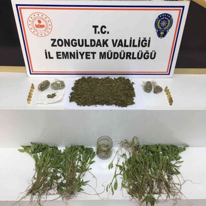 Zonguldak’ta Son 3 Ayda 30 Zehir Taciri Tutuklandı