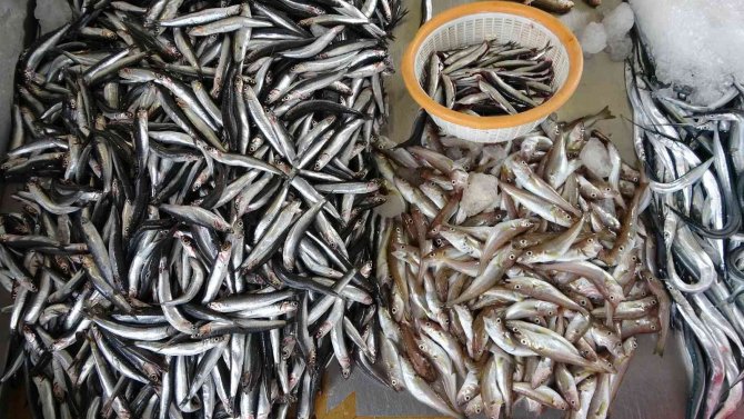 Av Sezonunun Başlamasıyla Tezgâhlarda Balık Çeşitliliği Arttı