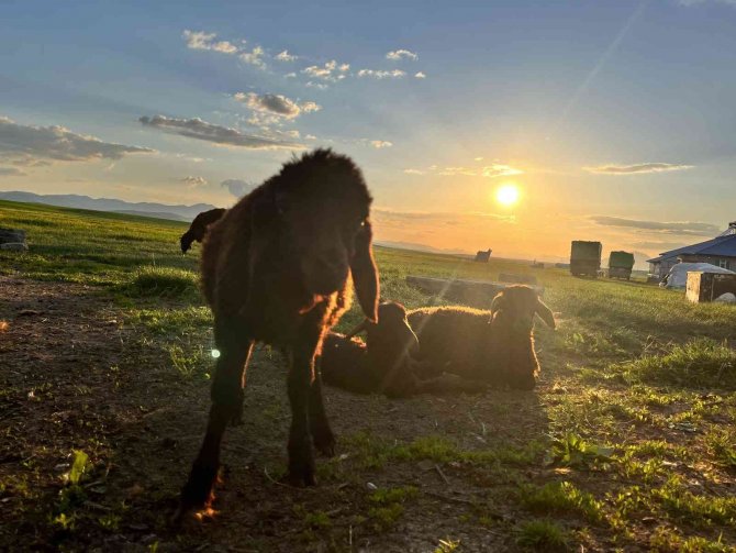 Ağrı’da Kızıla Boyanan Gökyüzü Büyüledi