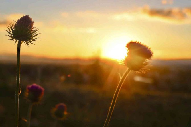 Ağrı’da Kızıla Boyanan Gökyüzü Büyüledi