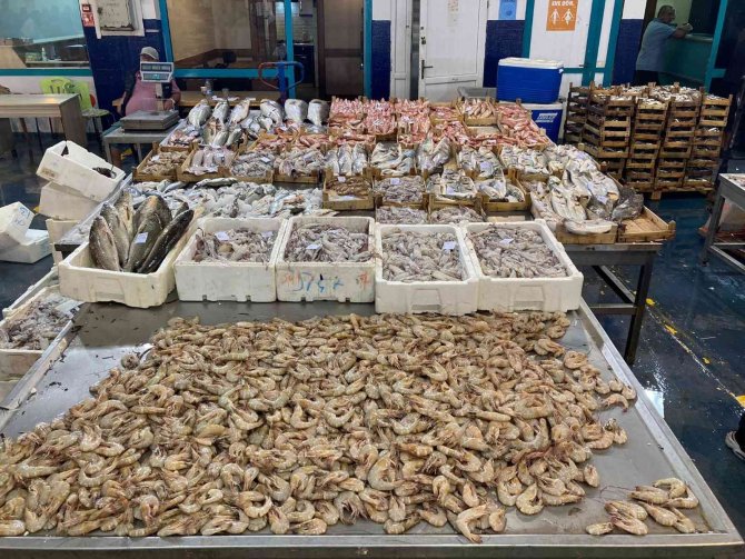 Av Sezonu Açıldı, Balık Hali Balıkla Doldu