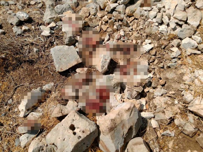 Didim’deki Koyda İki Kişi Ölü Olarak Bulundu