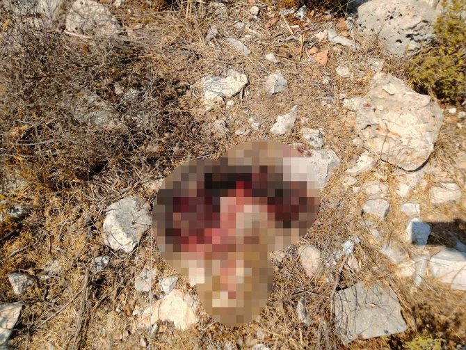 Didim’deki Koyda İki Kişi Ölü Olarak Bulundu
