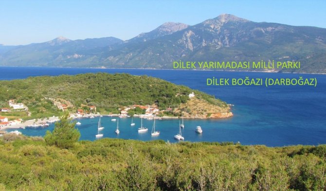 Kuşadası’ndaki Yunus Ölümü Tedirgin Etti