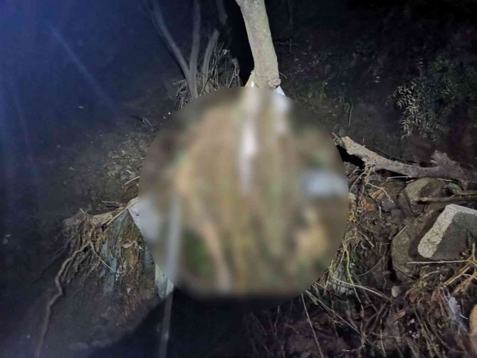 Mudanya’daki Sel Felaketinden Acı Haber: 2 Gün Sonra Dere Yatağında Cesedi Bulundu
