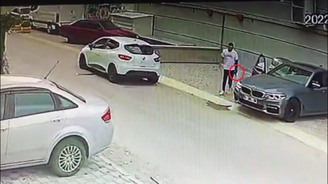Yazılımcı Kardeşleri Silah Zoruyla Kaçırdılar, Yunuslardan Kaçamadılar