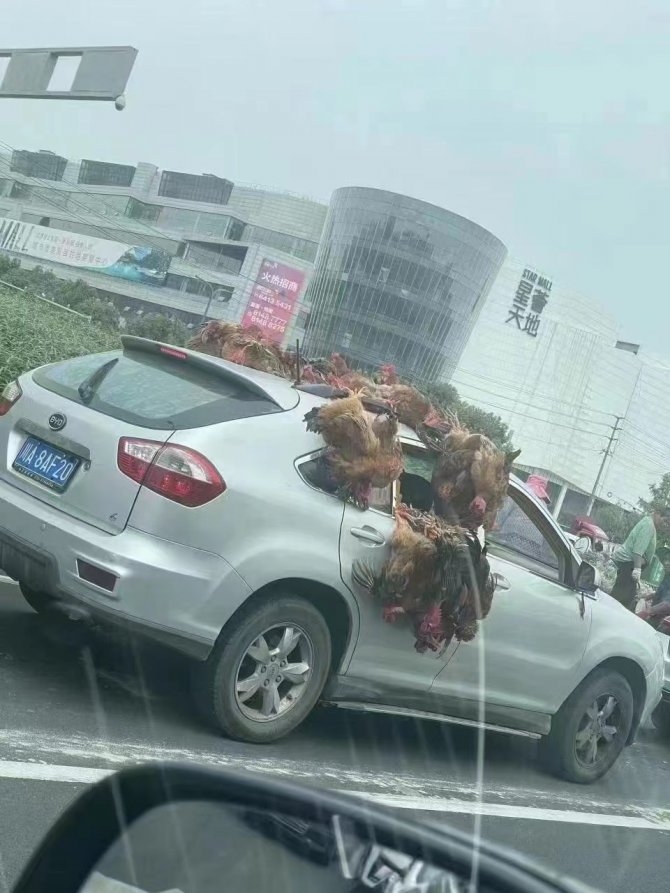 Çin’de Yeni Vakalar Arttı, Halk Marketlere Hücum Etti