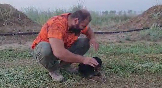 Avcı Can Dostunu Köpeğini Kalp Masajı Yaparak Hayata Döndürdü