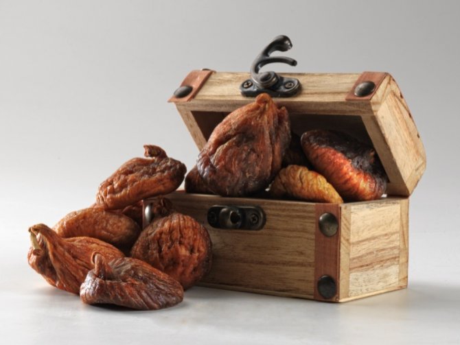 Kuru İncirde İlk Gemi Tarihi 7 Ekim Oldu