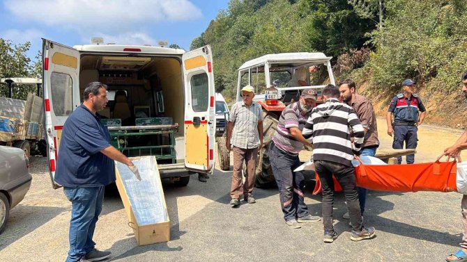 Arazi Kavgası Abi Kardeşi Ayırdı