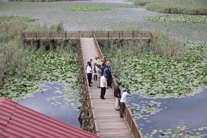 Efteni De Yapılan Çalışmalar Yerinde İncelendi