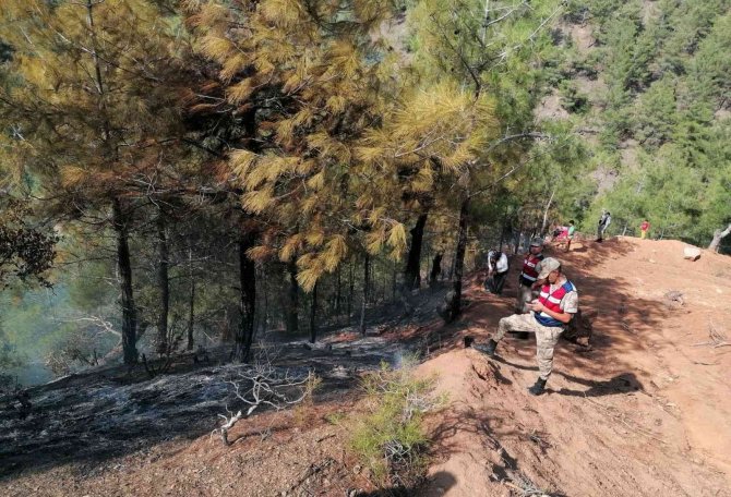 Hatay’da Ormanlık Alanda Çıkan Yangına Müdahale Sürüyor