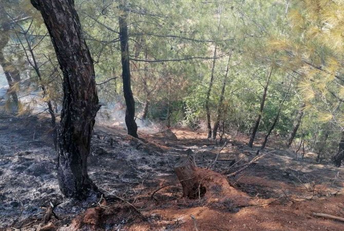 Hatay’da Ormanlık Alanda Çıkan Yangına Müdahale Sürüyor