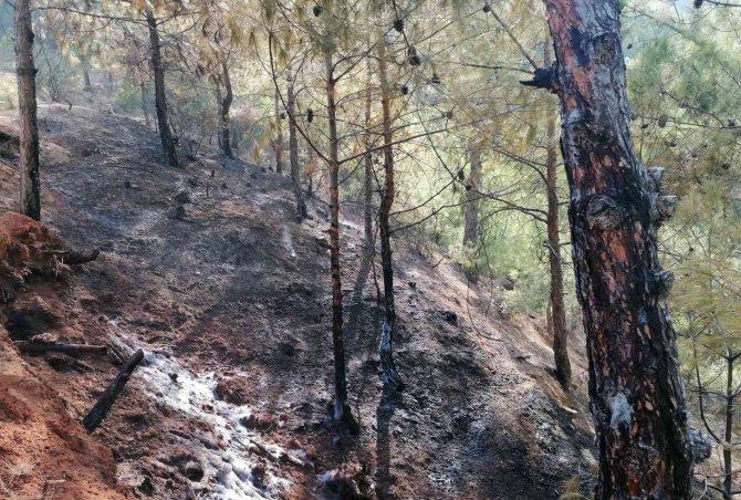 Hatay’da Ormanlık Alanda Çıkan Yangına Müdahale Sürüyor