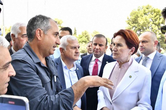 Akşener’den Dedaş’a: “Diyorsunuz Ki Bizi Deaş’tan Kurtarın”