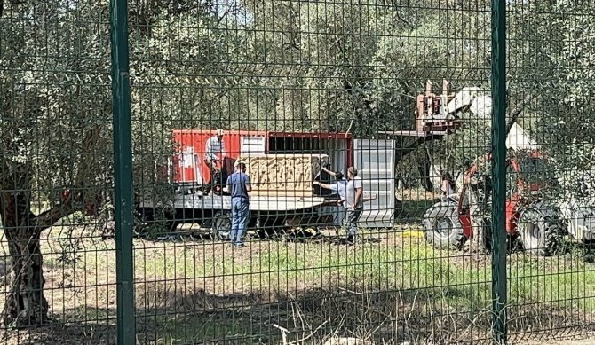 Bursa’da Roma Dönemine Ait Lahit Bulundu