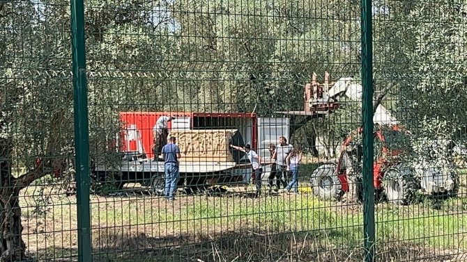 Bursa’da Roma Dönemine Ait Lahit Bulundu