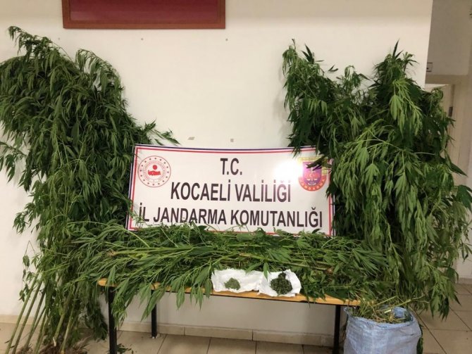 Jandarmadan Uyuşturucu Operasyonu: 3 Gözaltı