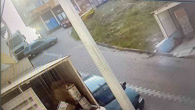 Yokuşta Kayan Kamyon Dehşet Saçtı