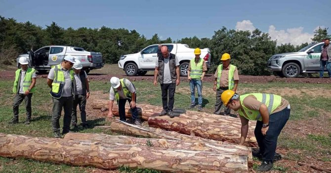 Kütahya’da Üretim Sahalarında Orman Emvalleri Kontrolleri