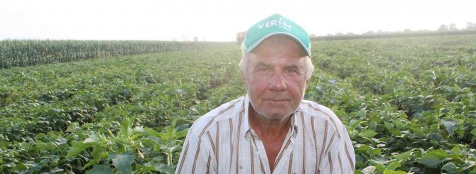 Manyaslı Çiftçi İkinci Ürün De Verim Sevinci Yaşıyor