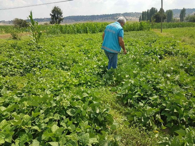 Şaphane’de “Nadasa Elveda” Projesi