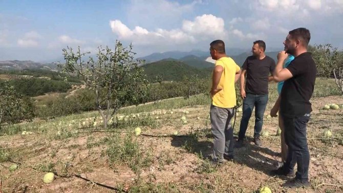 Sağanak Yağışla Birlikte Gelen Dolu, Çiftçinin Mahsulünü Vurdu