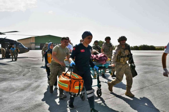 Siirt’te Yaban Domuzlarının Saldırısına Uğrayan Çoban Askeri Helikopterle Kurtarıldı