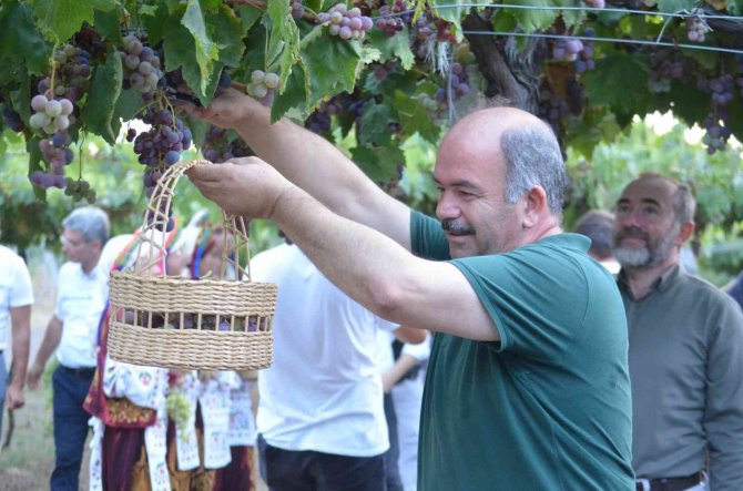 Tekirdağ’da Bağ Bozumu Şenliği: Türkiye Üzüm İhracatında Dünya Birincisi
