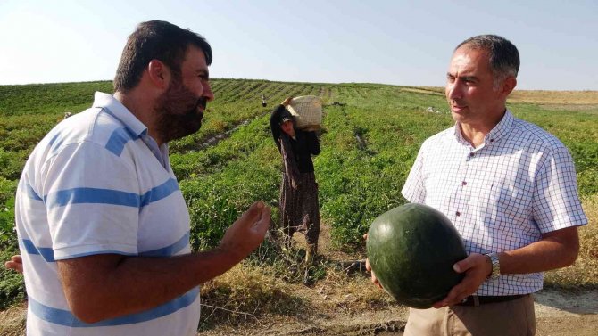 Van’da Meyve Ve Sebze Hasadı Üreticinin Yüzünü Güldürdü
