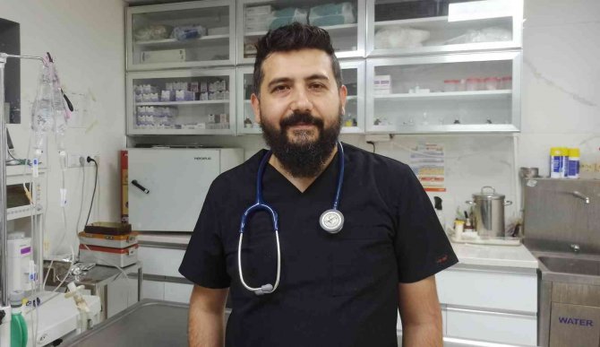 Sıcak Havalar Evcil Hayvanları Depresyona Sokabiliyor