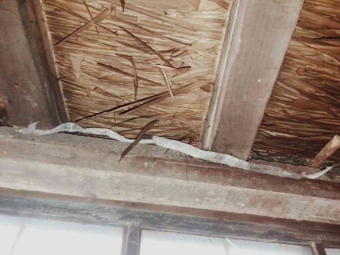 Yılanların Yuva Yaptığı Evlerinde Uyuyamıyorlar