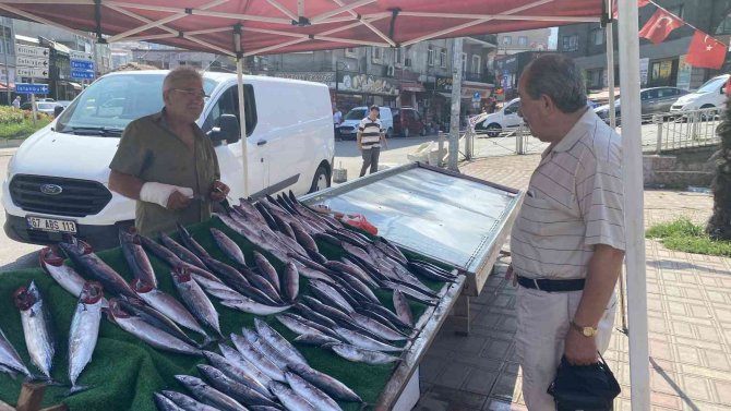 Tezgahlar Palamutla Doldu Taştı, Vatandaş Yoğun İlgi Gösterdi
